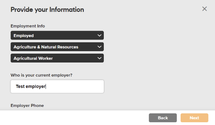 Step 4a: Enter your employment information